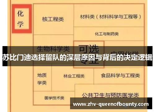 苏比门迪选择留队的深层原因与背后的决定逻辑 苏比门迪选择留队的深层原因与背后的决定逻辑