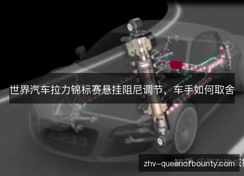世界汽车拉力锦标赛悬挂阻尼调节,车手如何取舍 世界汽车拉力锦标赛悬挂阻尼调节,车手如何取舍